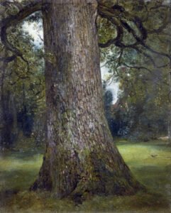 Study of the Trunk of an Elm Tree, John Constable