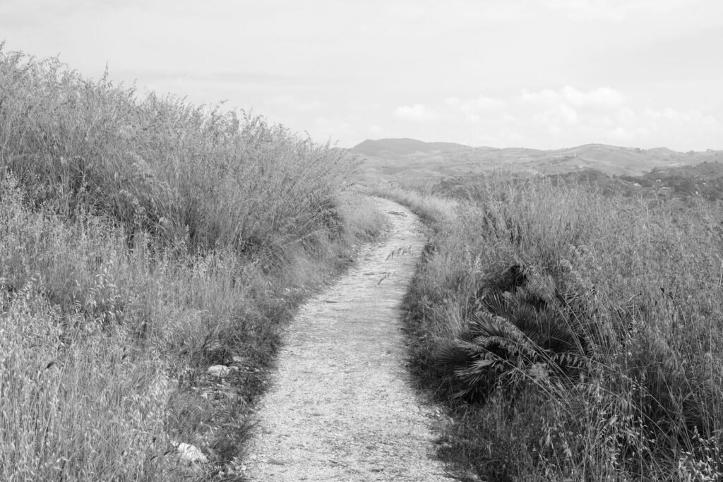 02.06.23 Segesta. Photograph by Giorgio Agazzi