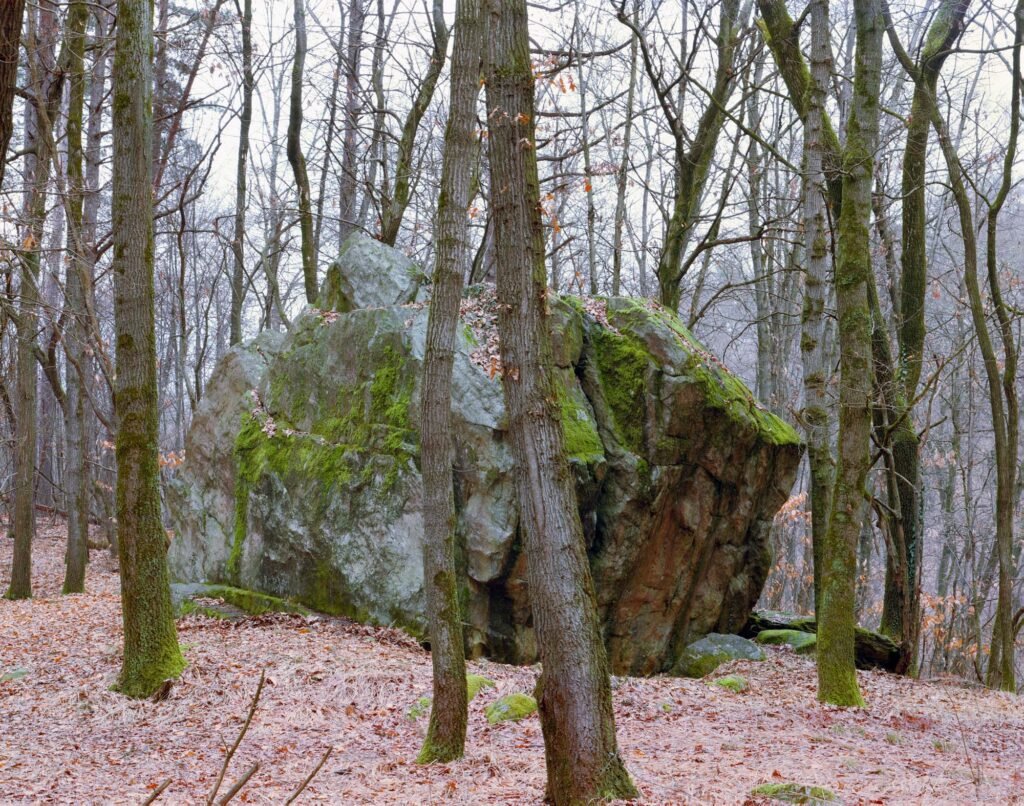 08.02.26 - 08:48 Photograph by Giorgio Agazzi