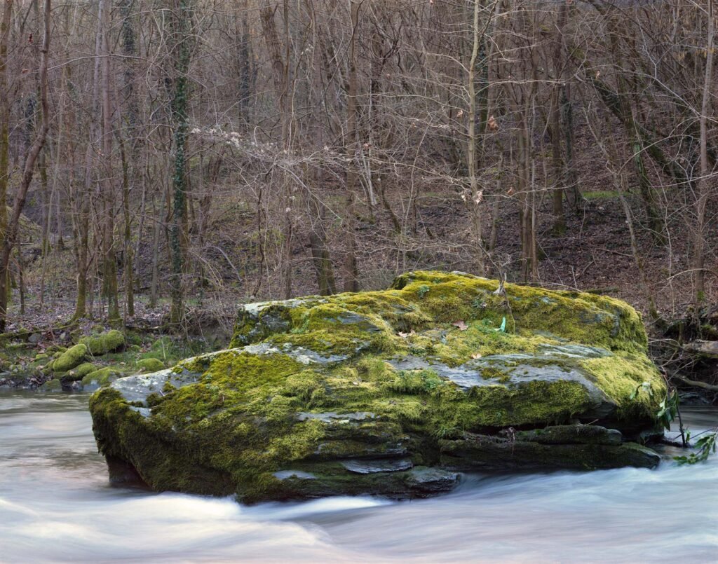 08.02.26 - 16:00 Photograph by Giorgio Agazzi