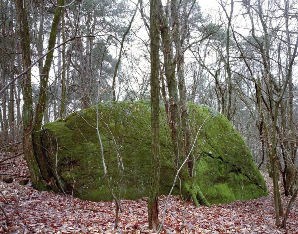 08.02.26 - 13:03 Photograph by Giorgio Agazzi