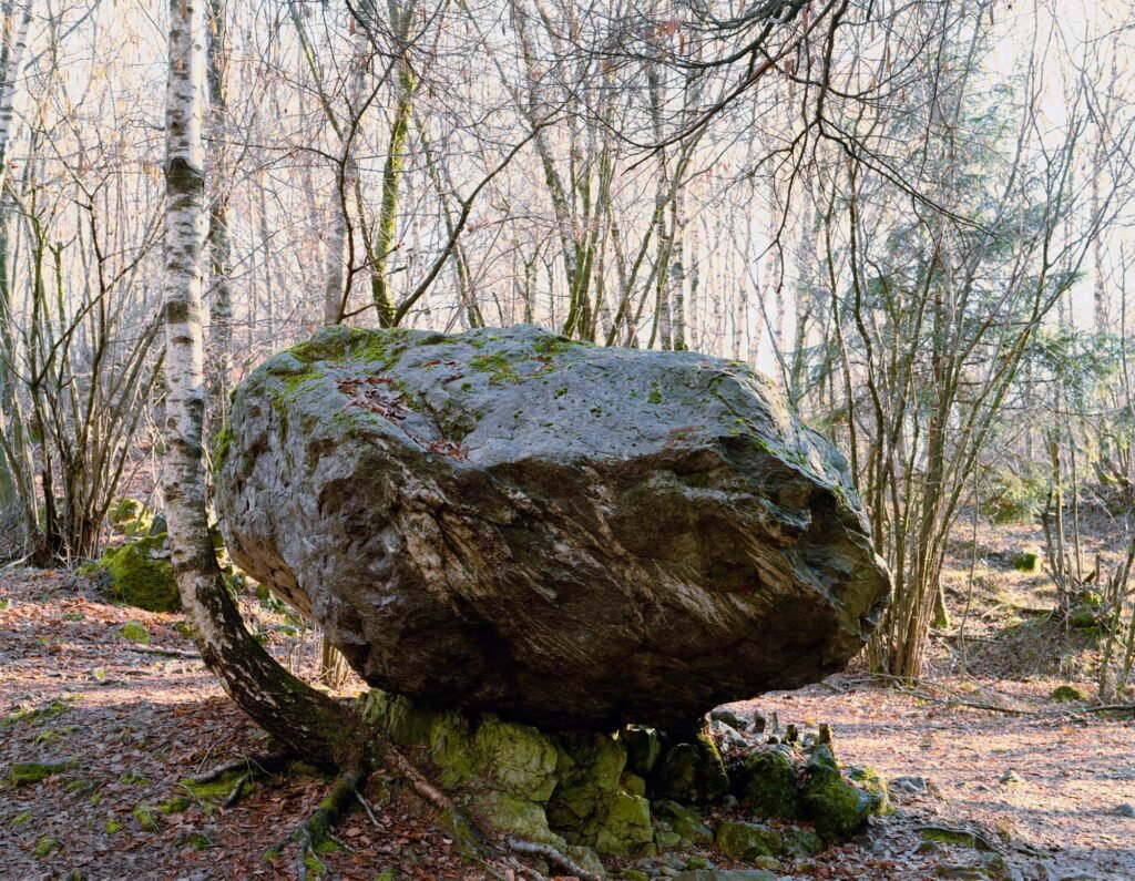 05.02.26 - 12:51 Photograph by Giorgio Agazzi