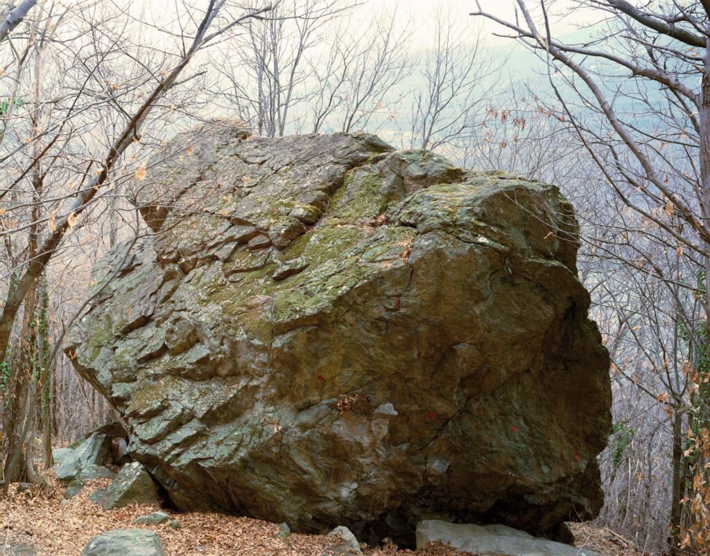 16.02.26 - 10:45 Photograph by Giorgio Agazzi