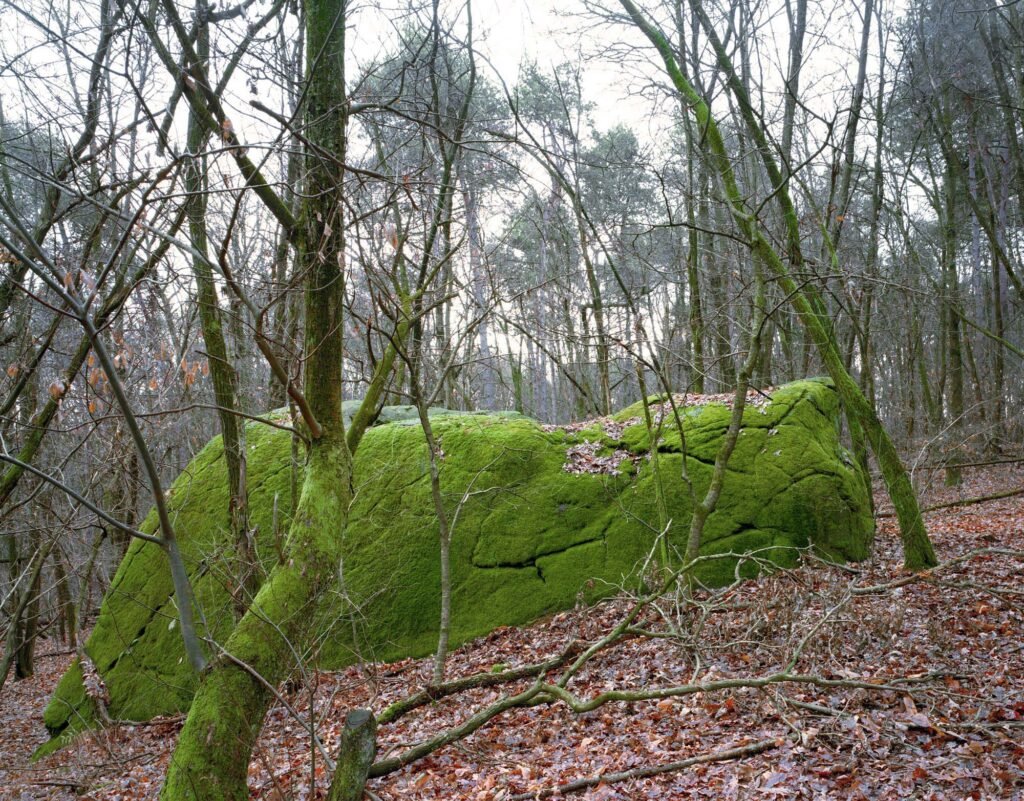 08.02.26 - 11:22 Photograph by Giorgio Agazzi