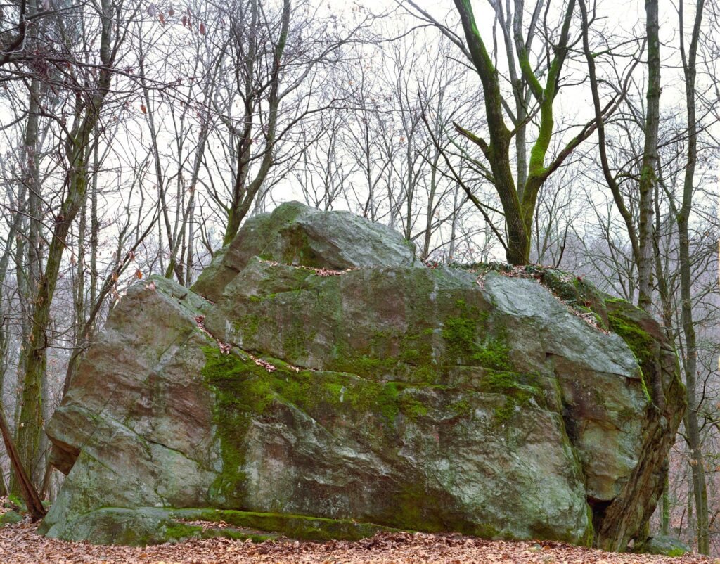 08.02.26 - 09:36 Photograph by Giorgio Agazzi