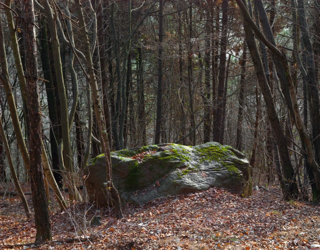 05.02.26 - 09:47 Photograph by Giorgio Agazzi