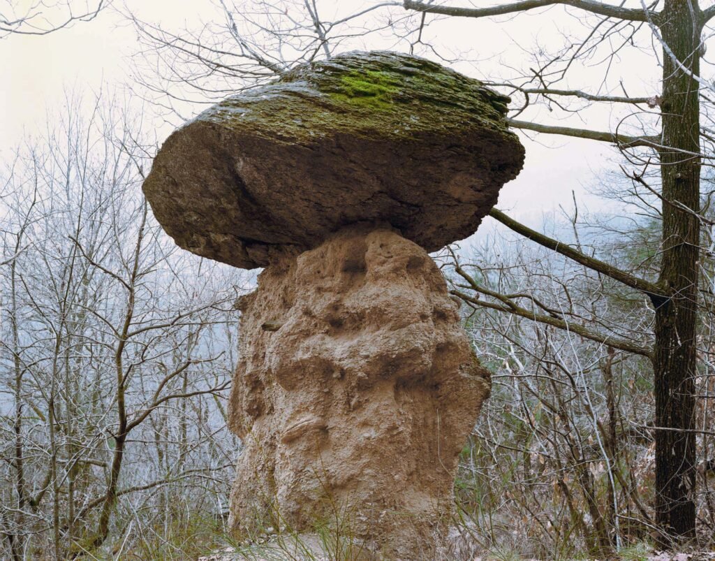 01.03.26 - 10:32 Photograph by Giorgio Agazzi