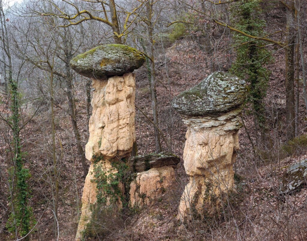 01.03.26 - 11:27 Photograph by Giorgio Agazzi