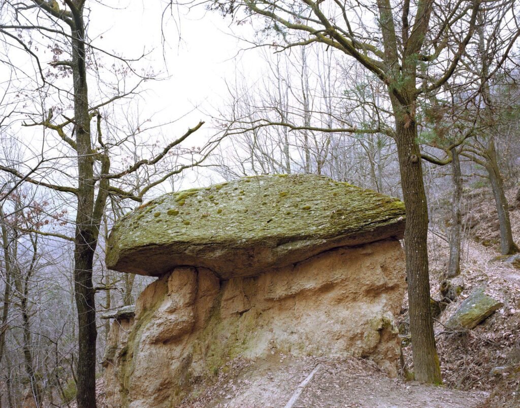 01.03.26 - 09:47 Photograph by Giorgio Agazzi